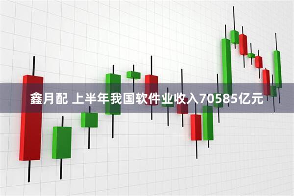 鑫月配 上半年我国软件业收入70585亿元
