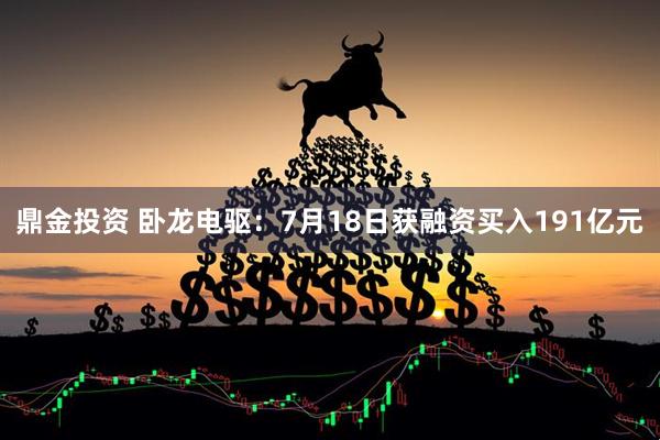 鼎金投资 卧龙电驱：7月18日获融资买入191亿元