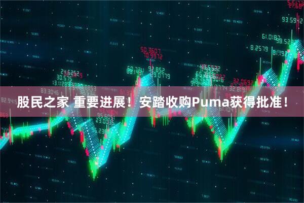 股民之家 重要进展！安踏收购Puma获得批准！