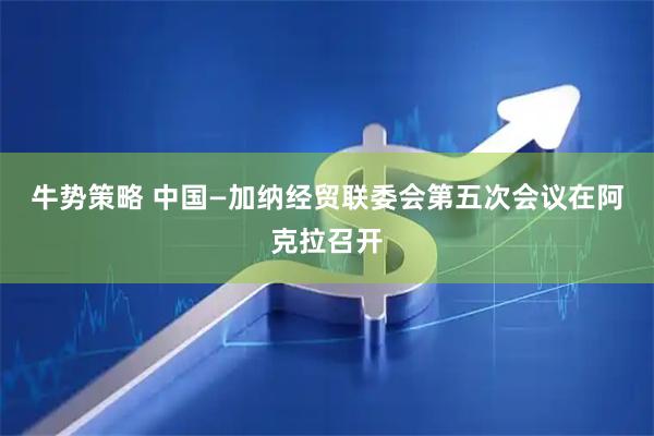 牛势策略 中国—加纳经贸联委会第五次会议在阿克拉召开