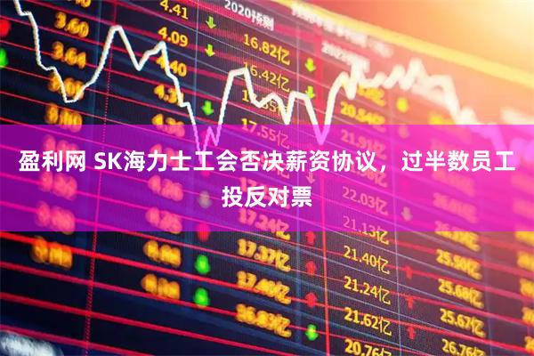 盈利网 SK海力士工会否决薪资协议，过半数员工投反对票